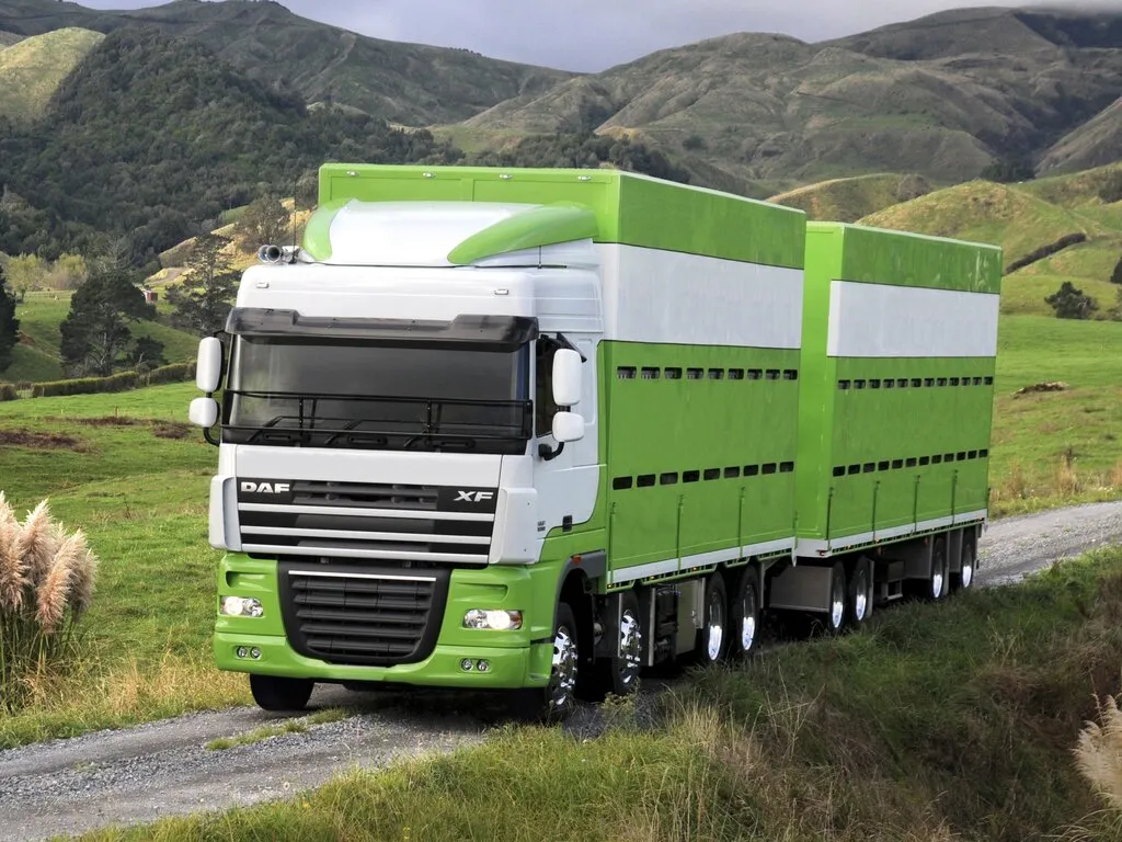 DAF XF 8x4 2006, шасси, 3 поколение, XF105 (01.2006 - н.в.)