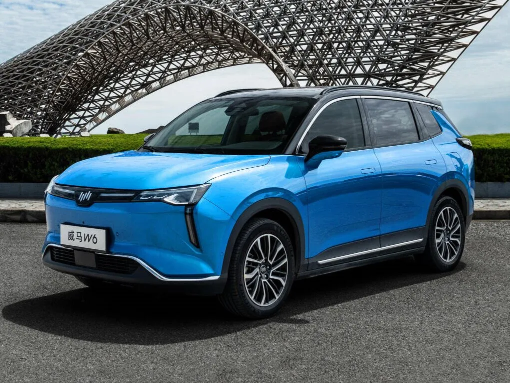 Weltmeister W6 2020, джип/suv 5 дв., 1 поколение (12.2020 - 12.2022)